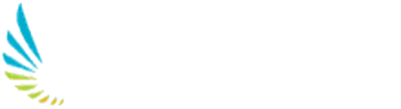 Top Hat Media, Digital Marketing